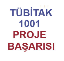 TÜBİTAK 1001 Proje Başarısı